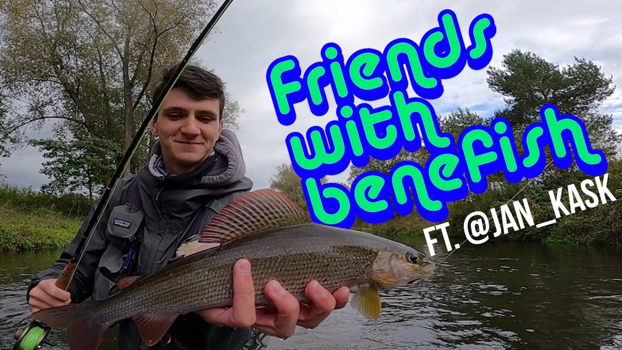 Friends with benefish ft.@jan_kask | Poprv&yacute; mu&scaron;kařina, poprv&yacute; na lipanech | Graylings on the wet fly