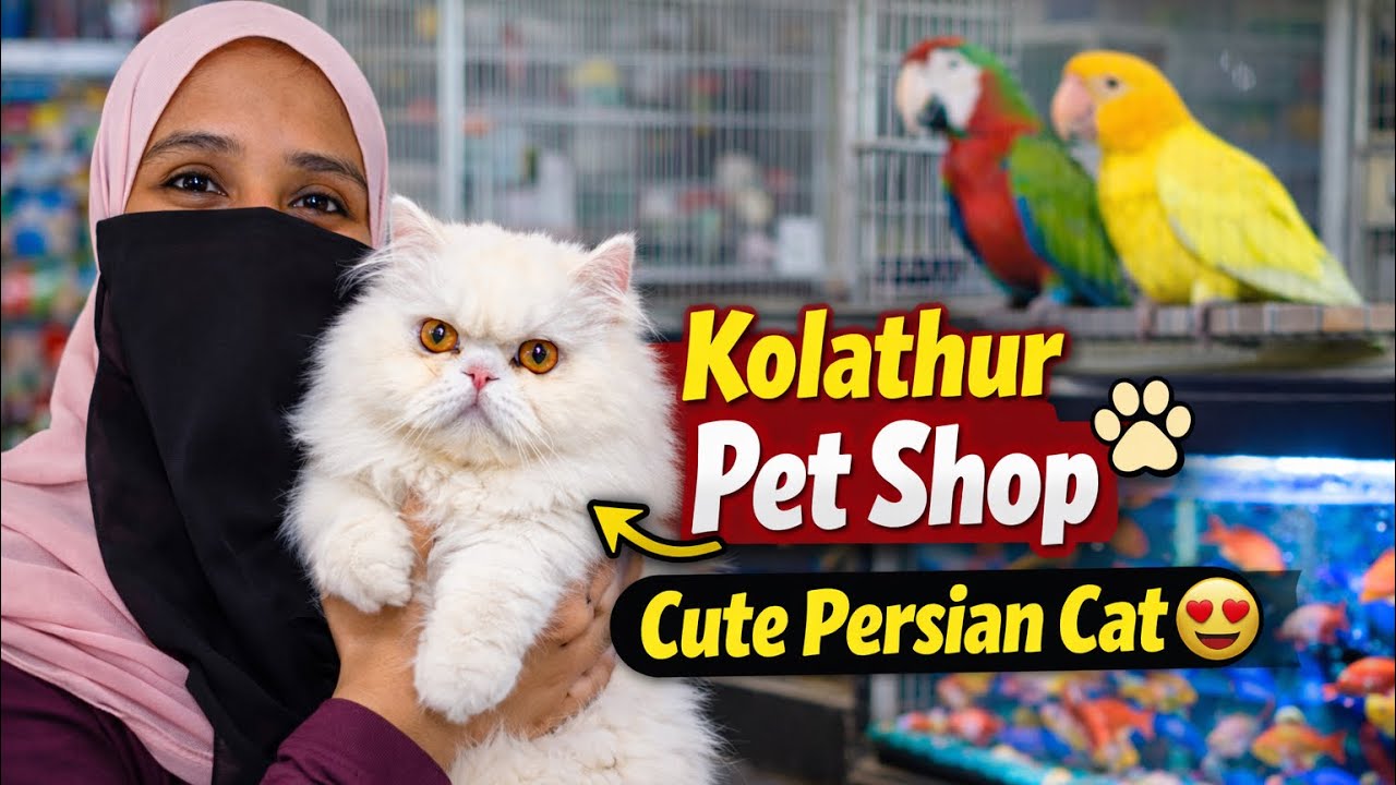 Kolathur Pet Shop Tour 🐾 | Must Visit Place!