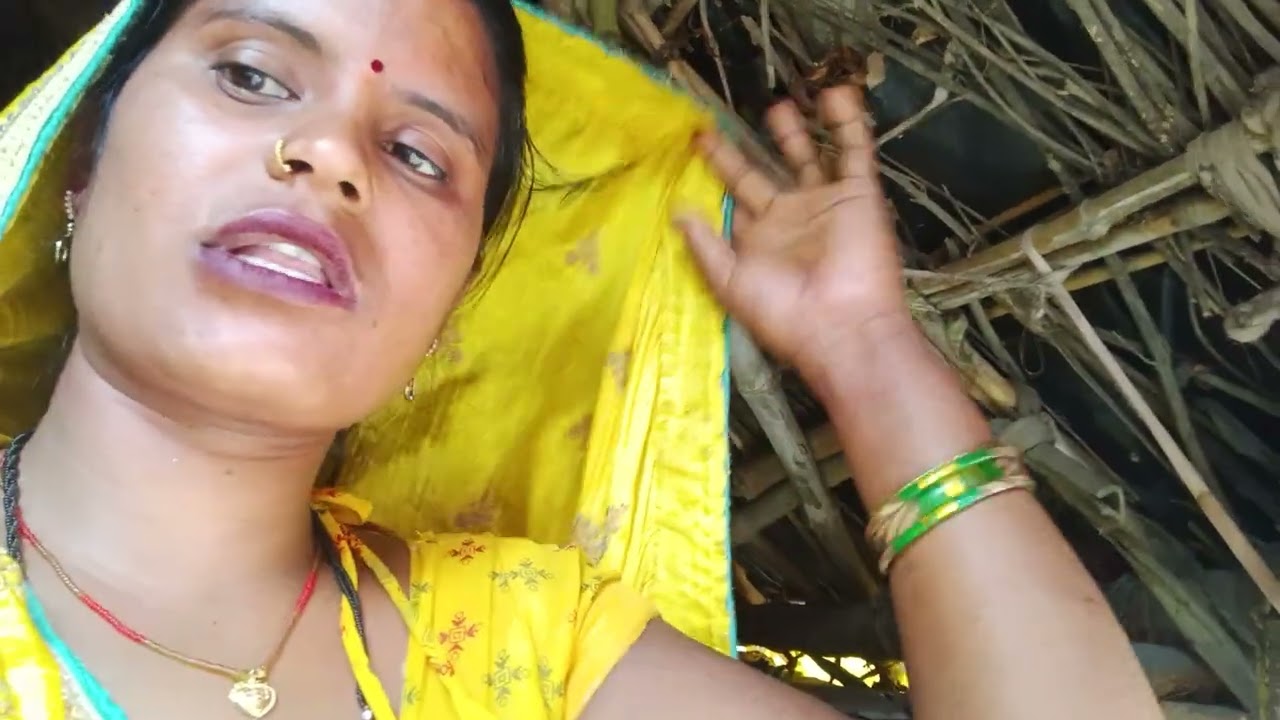 #आज 11:00 बजे रात को कुत्ते ने बकरियों को काट लिया#ब्लॉग