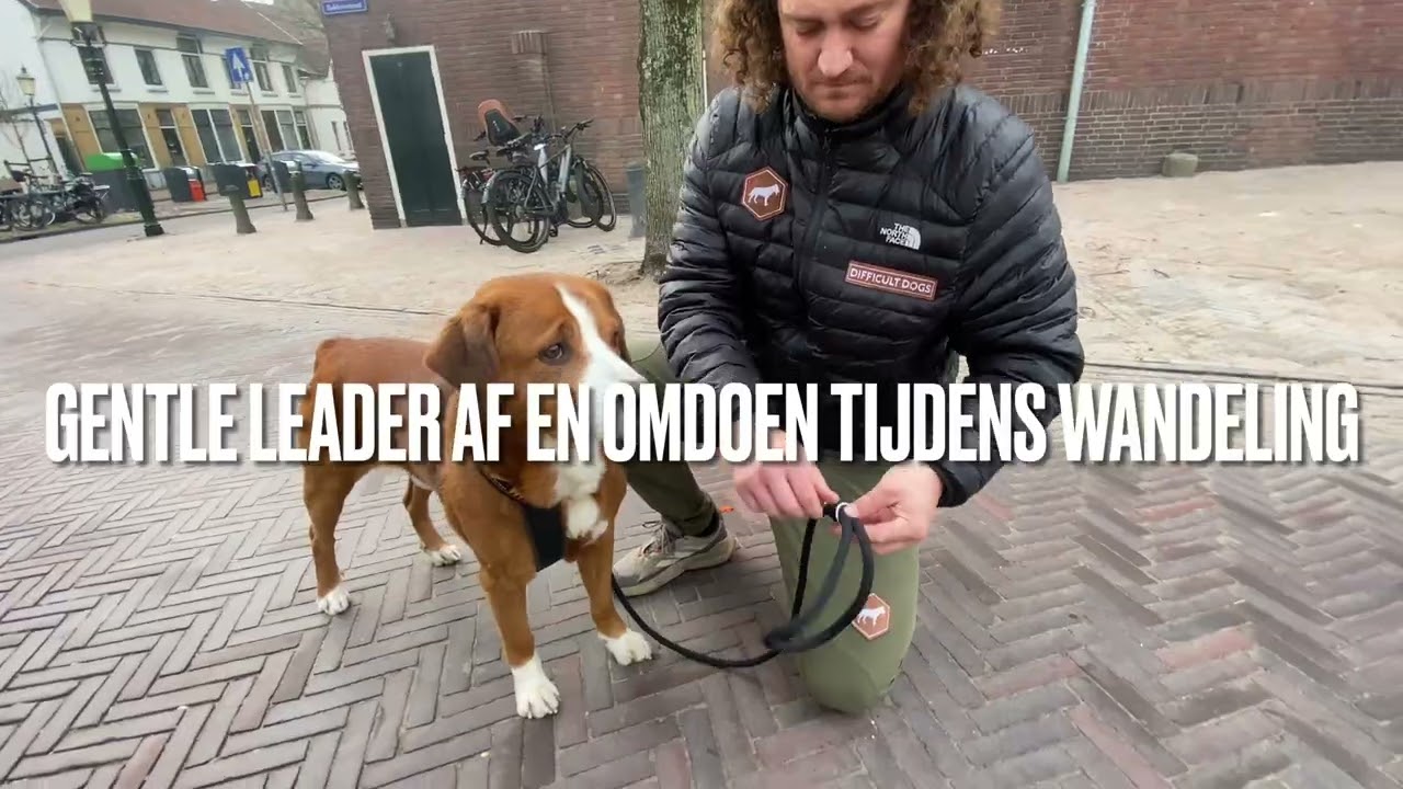 Leren lopen zonder trekken