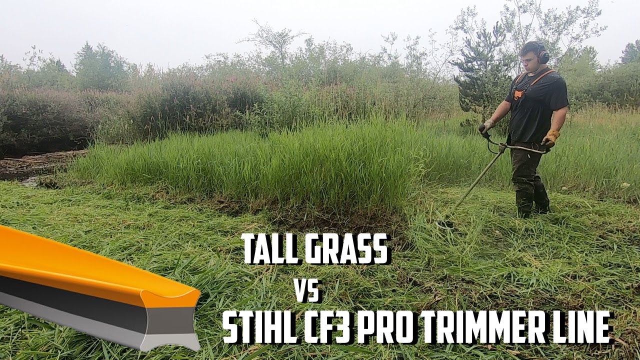 Mowing Heaps Of Tall Canary Grass | Stihl FS 131 Brush Cutter + Stihl CF3 Pro Trimmer Line #Stihl