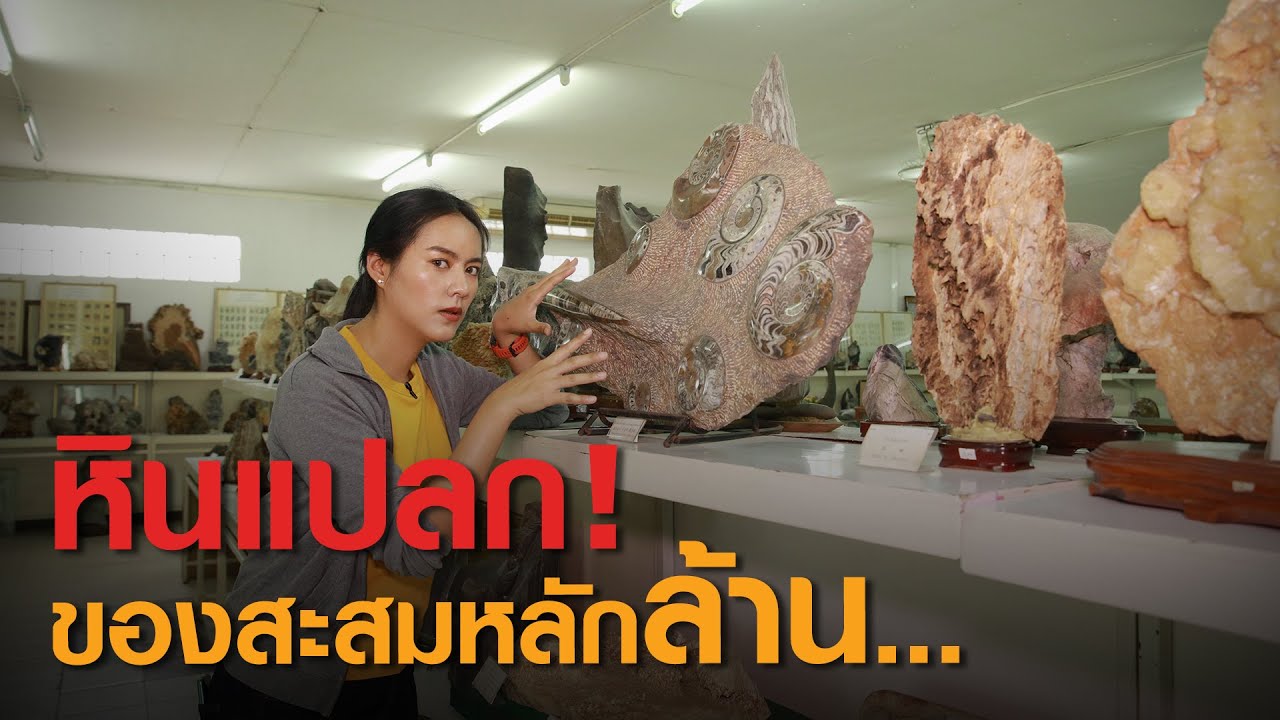 พิพิธภัณฑ์หินแปลกกว่าหมื่นชิ้น!! I ลุยกองข่าว2020#156