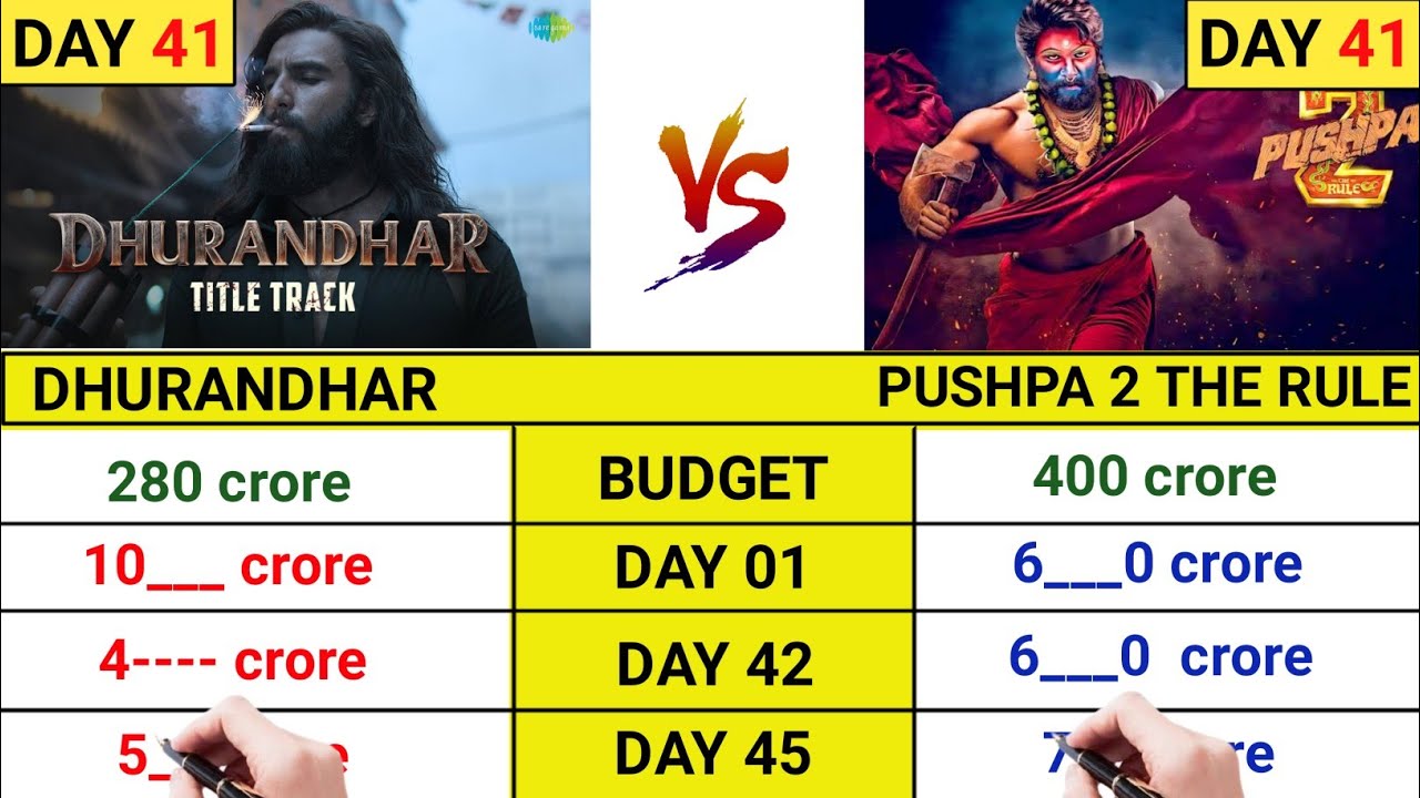 Dhurandhar movie day 41 collection|Dhurandhar business|Pushpa 2| topalways 