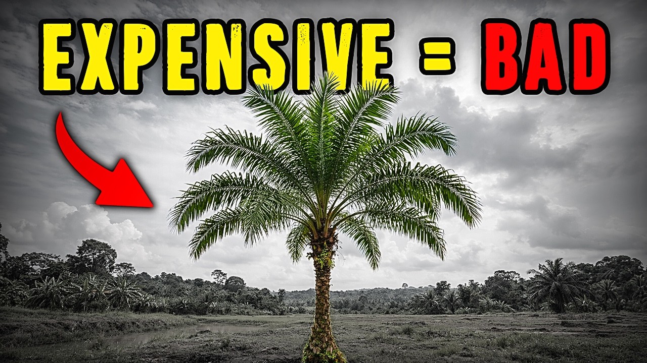 El producto b&aacute;sico m&aacute;s importante de Malasia (informaci&oacute;n imprescindible)