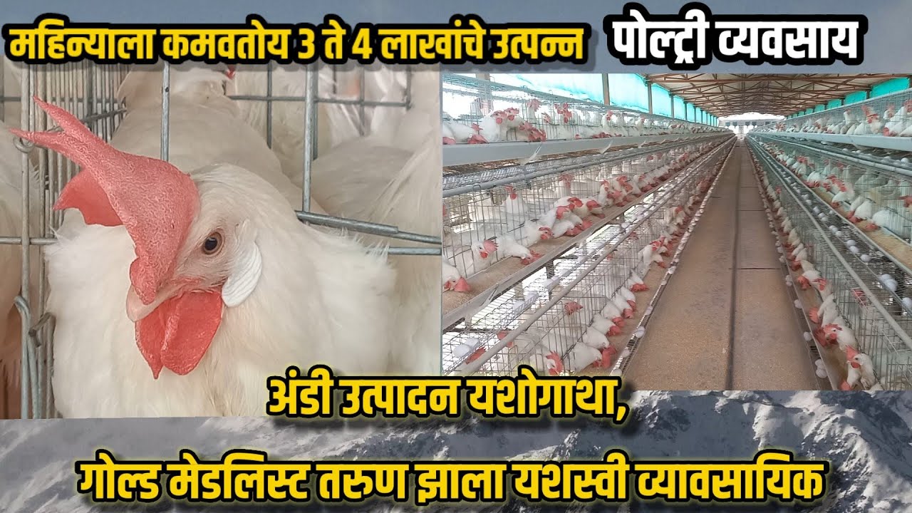 महिन्याला 3 ते 4 लाख उत्पन्न,गोल्ड मेडलिस्ट तरुण झाला यशस्वी पोल्ट्री व्यावसायिक#Layer poultry farm