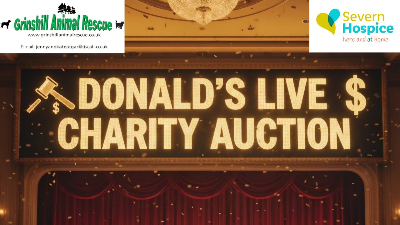Donald Mackerel's Live Charity Auction