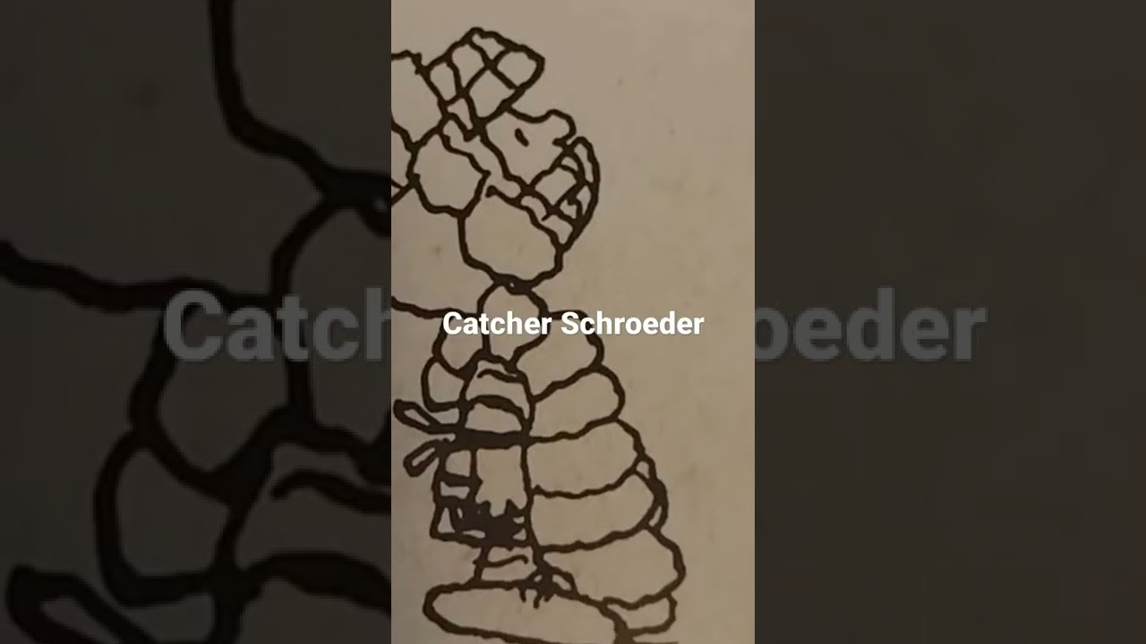 Charlie Brown's Baseball Team