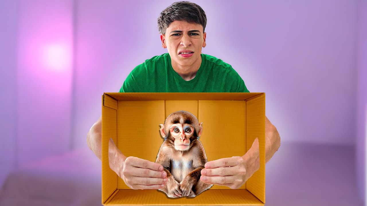 QUE HAY EN LA CAJA?