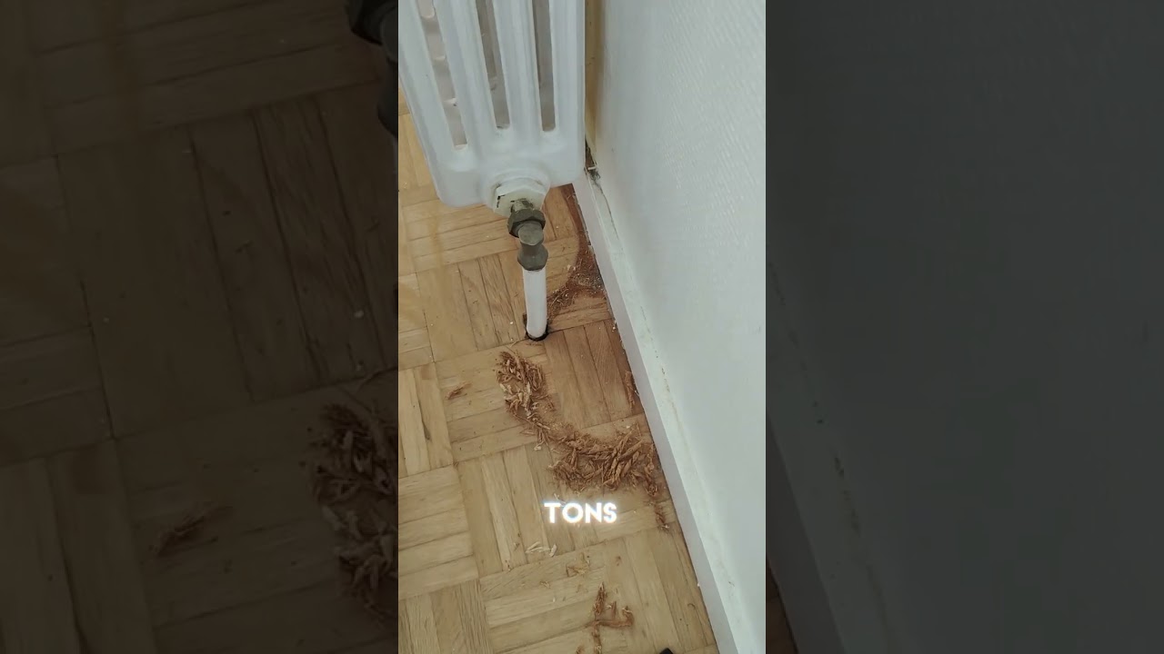 r&eacute;novation parquet mosa&iuml;que en ch&ecirc;ne massif