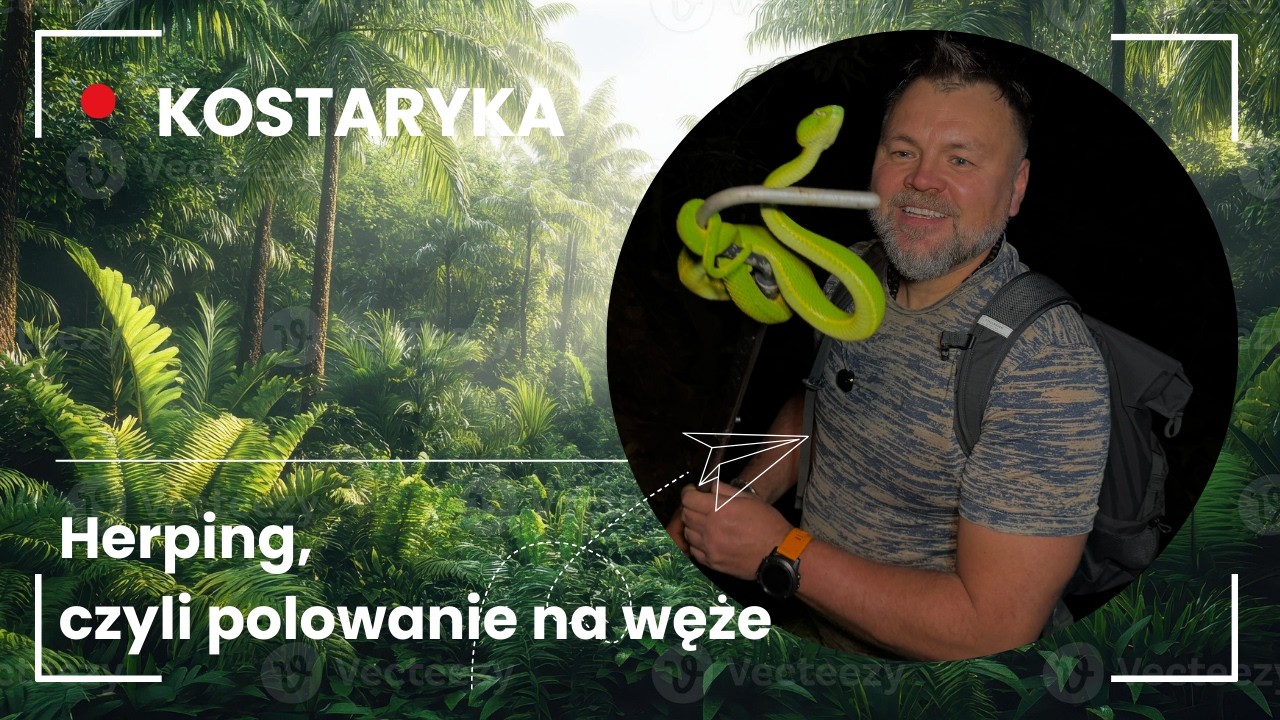 🦎 🐍 Wężowe łowy, czyli herping w KOSTARYCE 🇨🇷