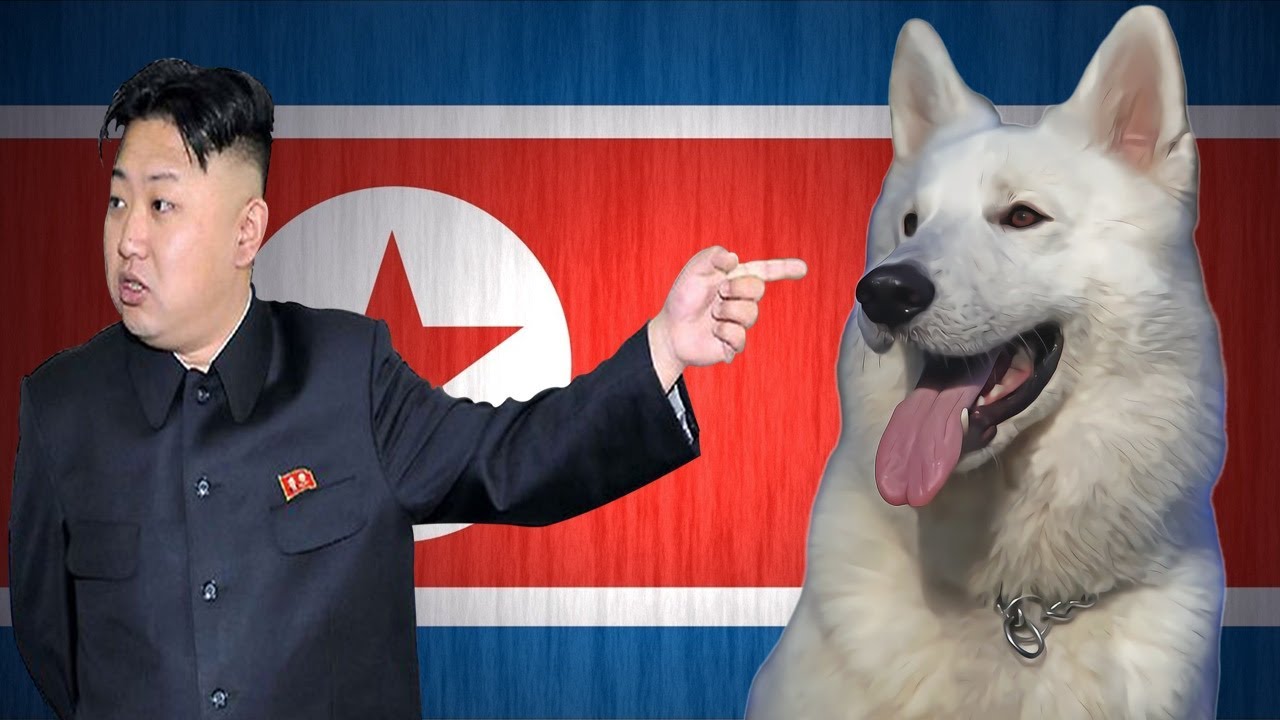 Kim Jong Un confiscando cachorros na Coreia do Norte?