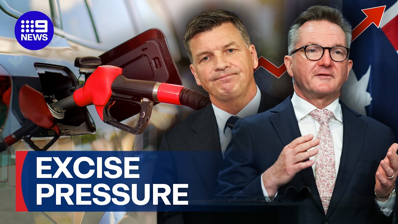 Government rejects calls to cut fuel excise as petrol prices soar | 9 News Australia