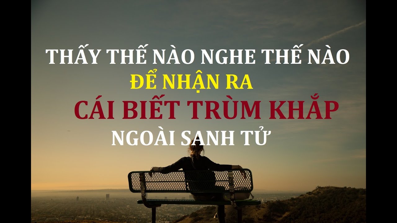 Thấy Nghe thế nào để nhận ra Cái Biết Trùm Khắp ngoài sanh tử I Thích Tuệ Hải