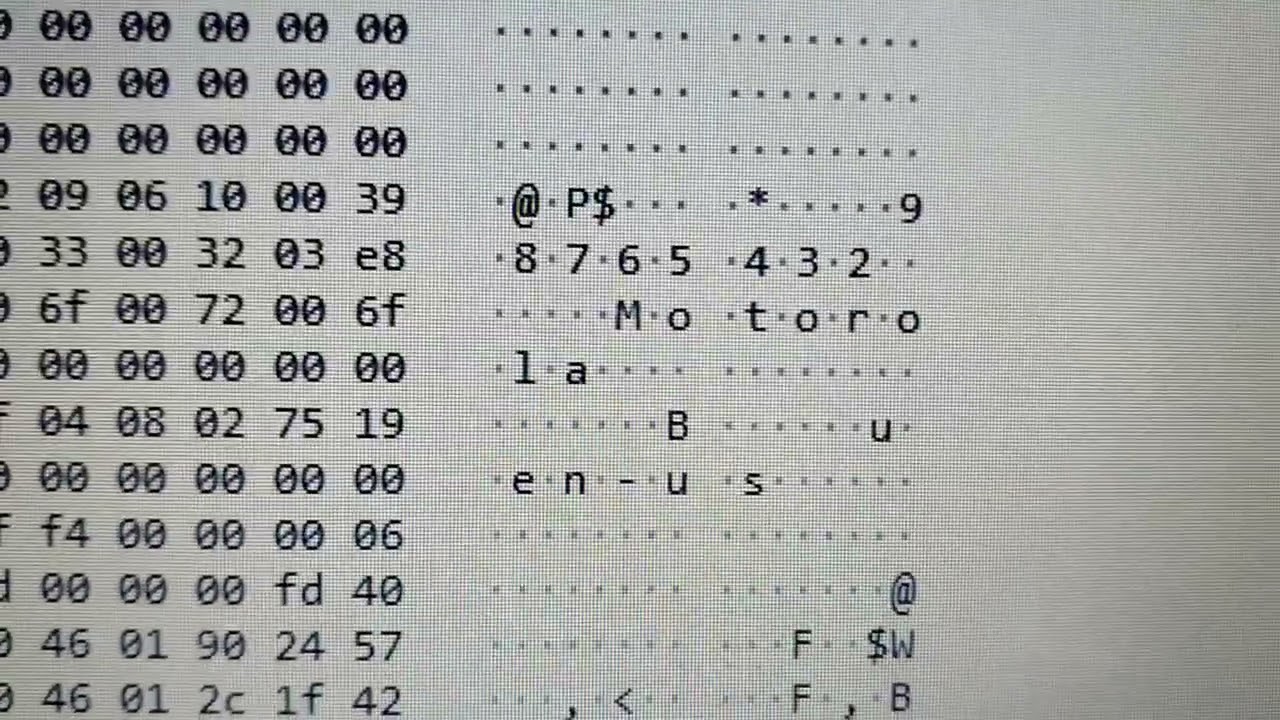 Saltando PASSWORD Motorola DGP