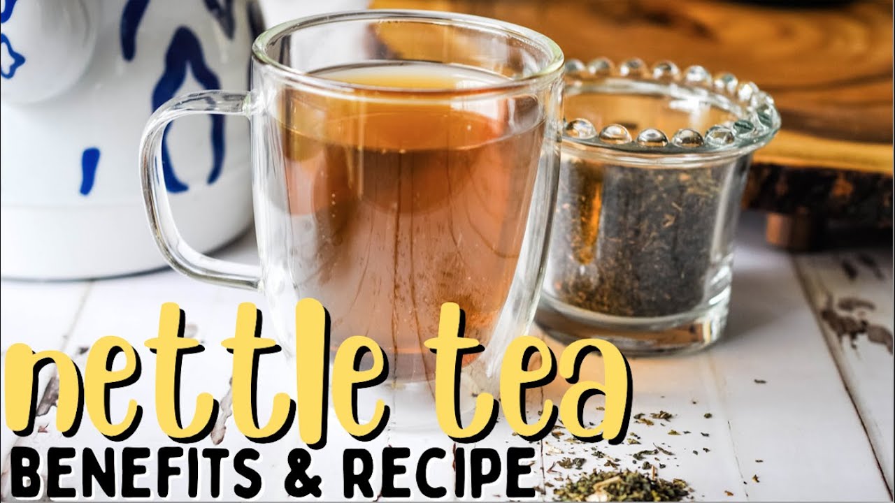 NETTLE TEA Benefits + How to Make It