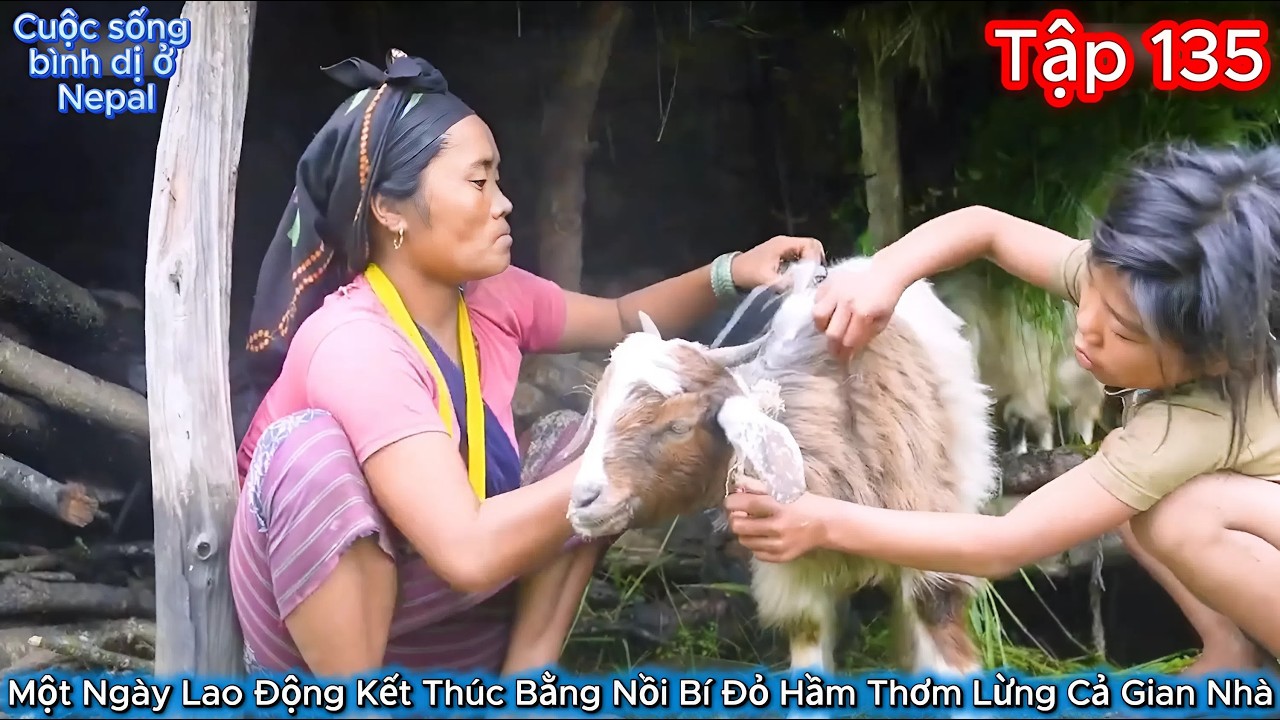 Thúy Hoa Tập 135 - Một Ngày Lao Động Kết Thúc Bằng Nồi Bí Đỏ Hầm Thơm Lừng Cả Gian Nhà