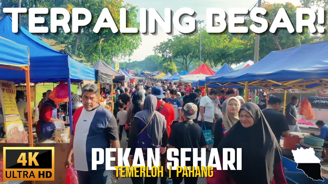Pekan Sehari Temerloh Paling Besar di Malaysia❗️Ikan Patin, Baung & Ulam Segar | 4K ASMR Ambience
