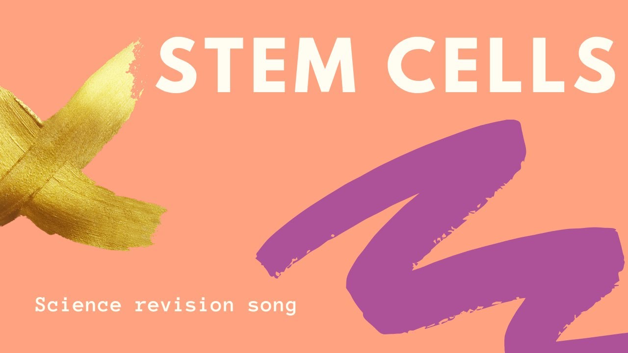 Stem Cells - Science Revision Song