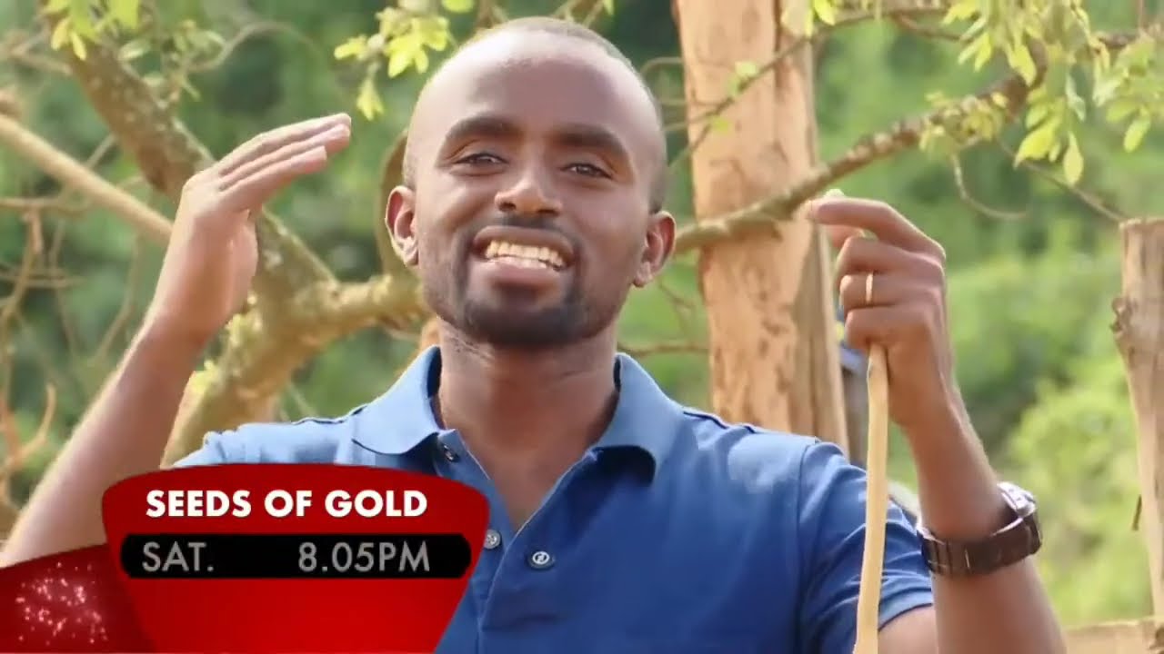NTV UGANDA NEWS LIVE STREAM