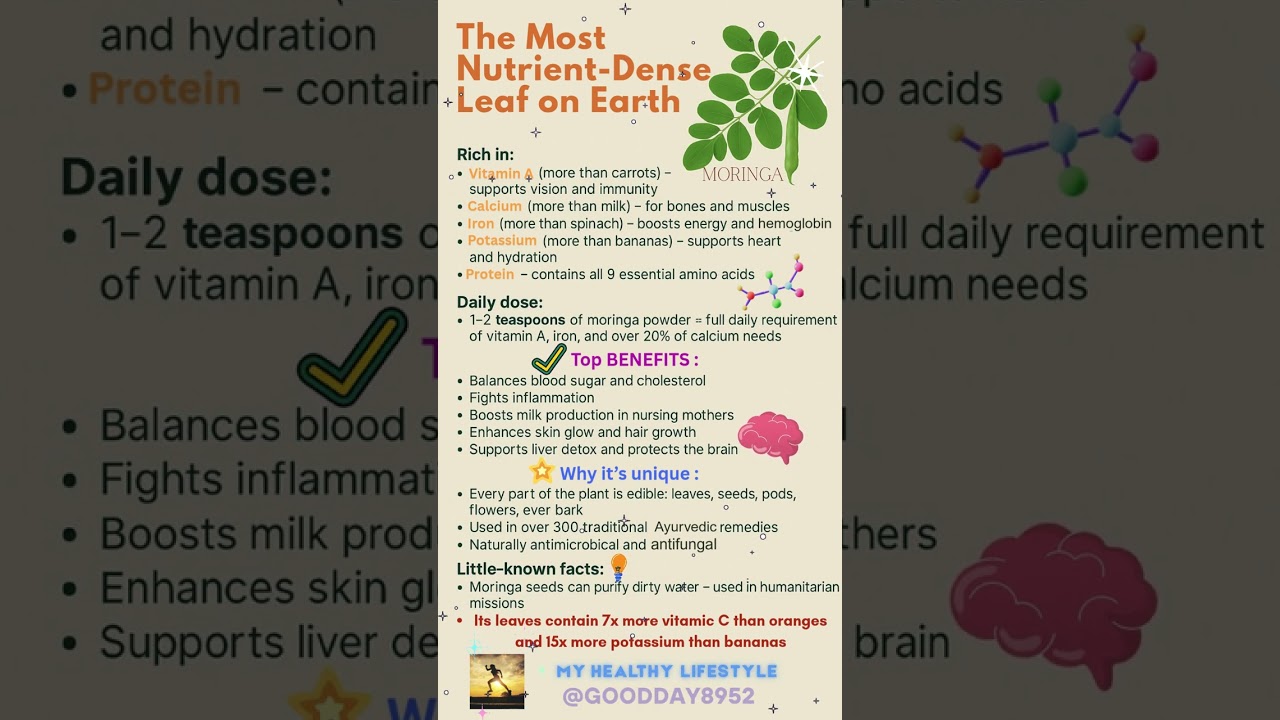 ⚡️The Most Nutrient-Dense Leaf on Earth🌿Why Moringa Might Be the World&rsquo;s Healthiest Plant☝️