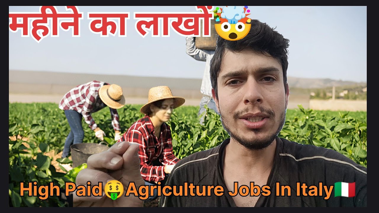 इटली🇮🇹आकर कितना पैसा🤑कमा सकते हैं🤯|Agriculture Work Salary in Italy|Italy Indian Vlogger