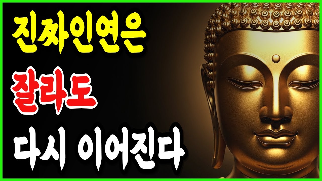진짜 인연은 끊어도 다시 이어집니다 | 부처님말씀 | 불교명상 | 불교오디오북