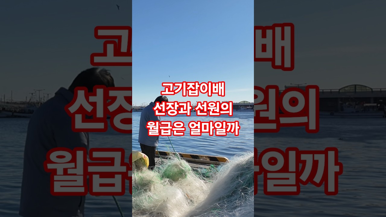 고기잡이배 선장과 선원의 월급은 얼마일까? #고기잡이배#대게잡이배#어선#선원월급