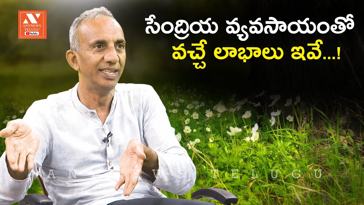 సేంద్రియ వ్యవసాయంతో  వచ్చే లాభాలు ఇవే...! | The Benefits of Natural Farming | AnyNews