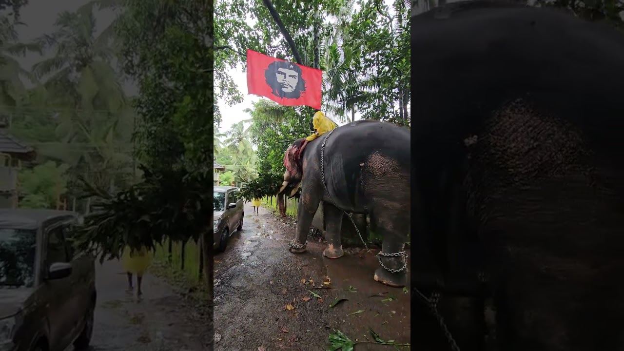 ഇലക്ഷൻ ആയി ശ്രീകുട്ടന്റെ പ്രേജരണം @aanayumaanapremiyum3000 @aimydovlogs @ChekkuvaraChee