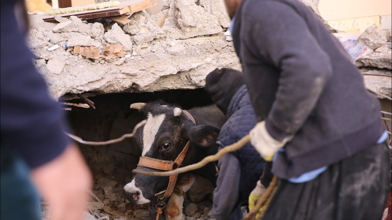 16 GÜN SONRA ENKAZDAN SAĞ ÇIKARILDILAR #Erdhej #Deprem