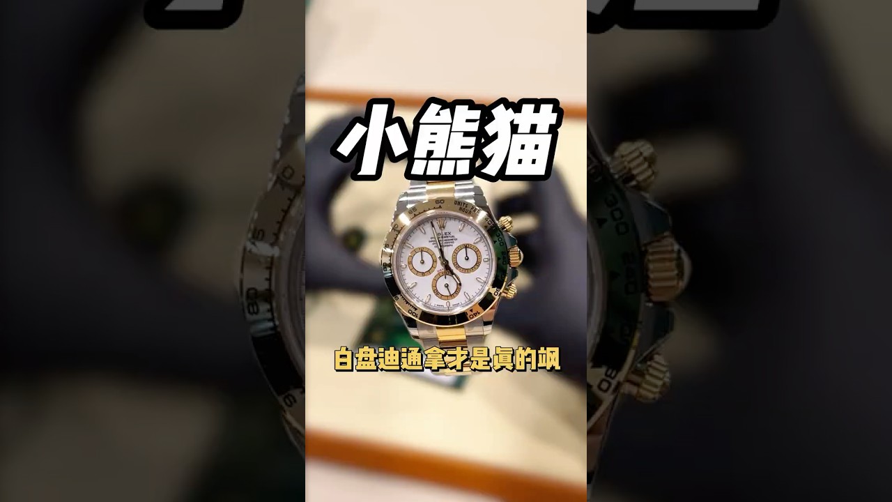 劳力士126503 间金白迪交付  s1 交付 小熊猫 白盘迪通拿才是真的?#胖哥爱玩表 #watch #rolex