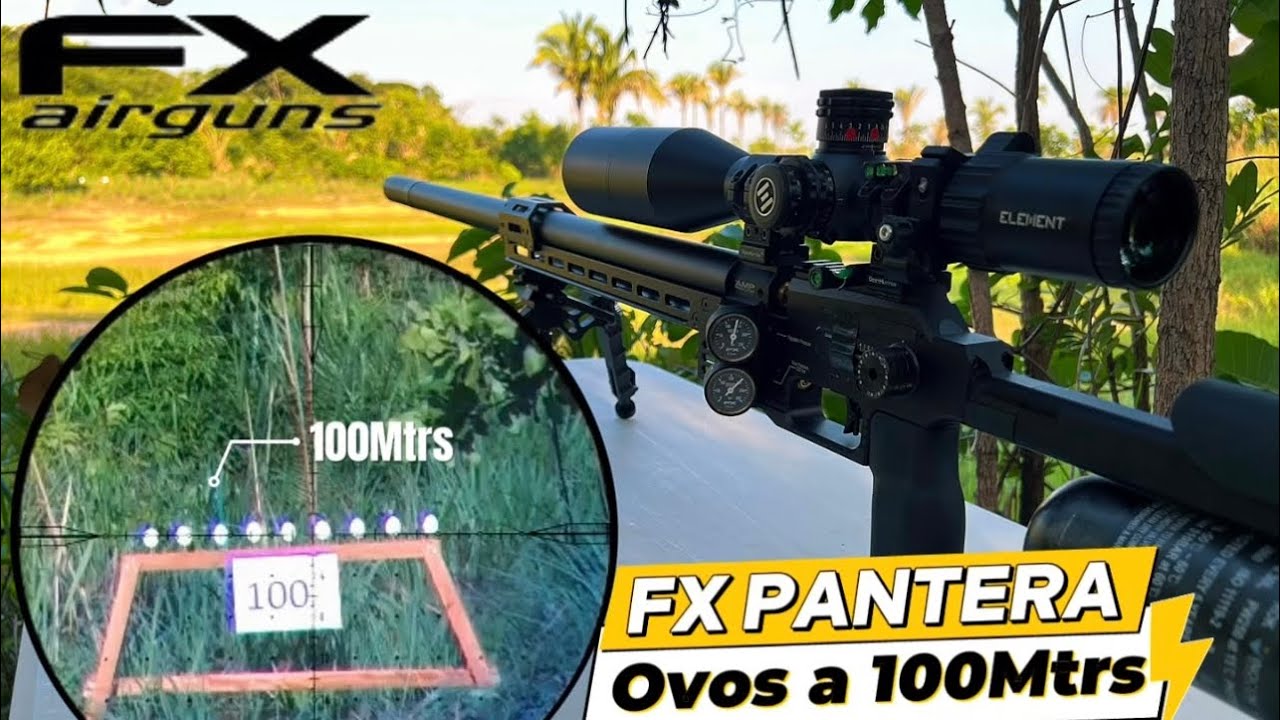 ACERTOS NO OVO A 100mtrs FX PANTERA cano 700mm