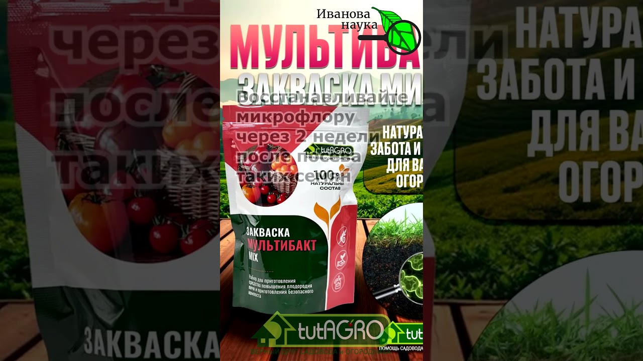 ❌ Срочно остановитесь! Эти семена нельзя замачивать ни в коем случае. Семена, которым вода навредит.