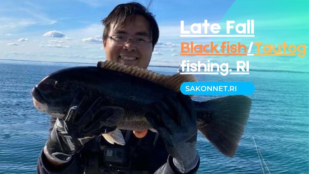 Tautog season just warm up? Late Fall Tautog fishing Rhode Island | 晚到的打黑季节