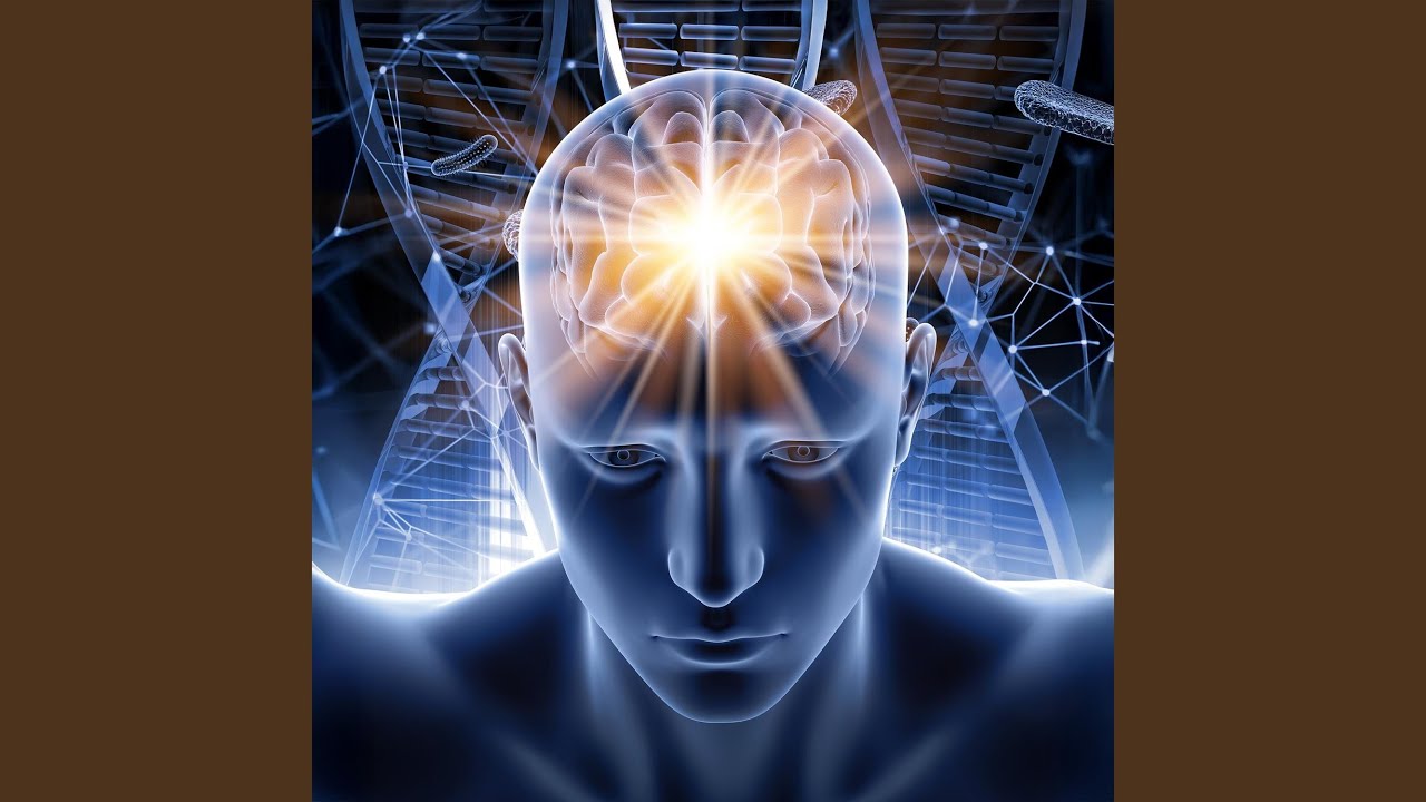 Inner Circuitry