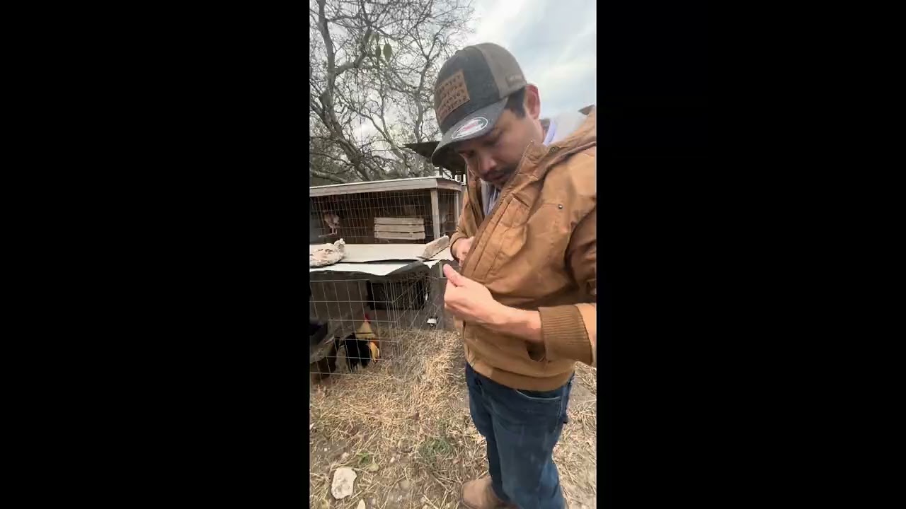Enumerando y marcando lotes de cría 