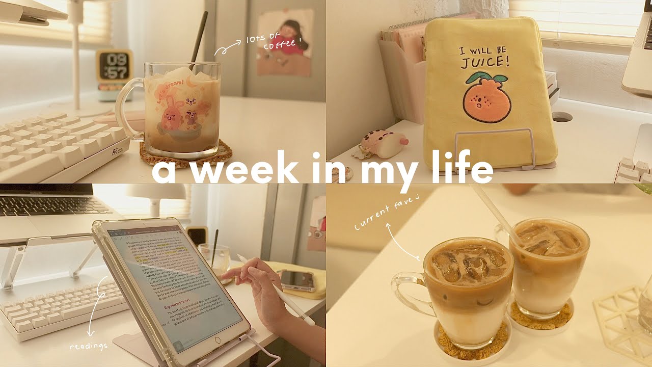 a week in my life 🥑 online classes, running errands, lots of coffee & asmr typing, life at home