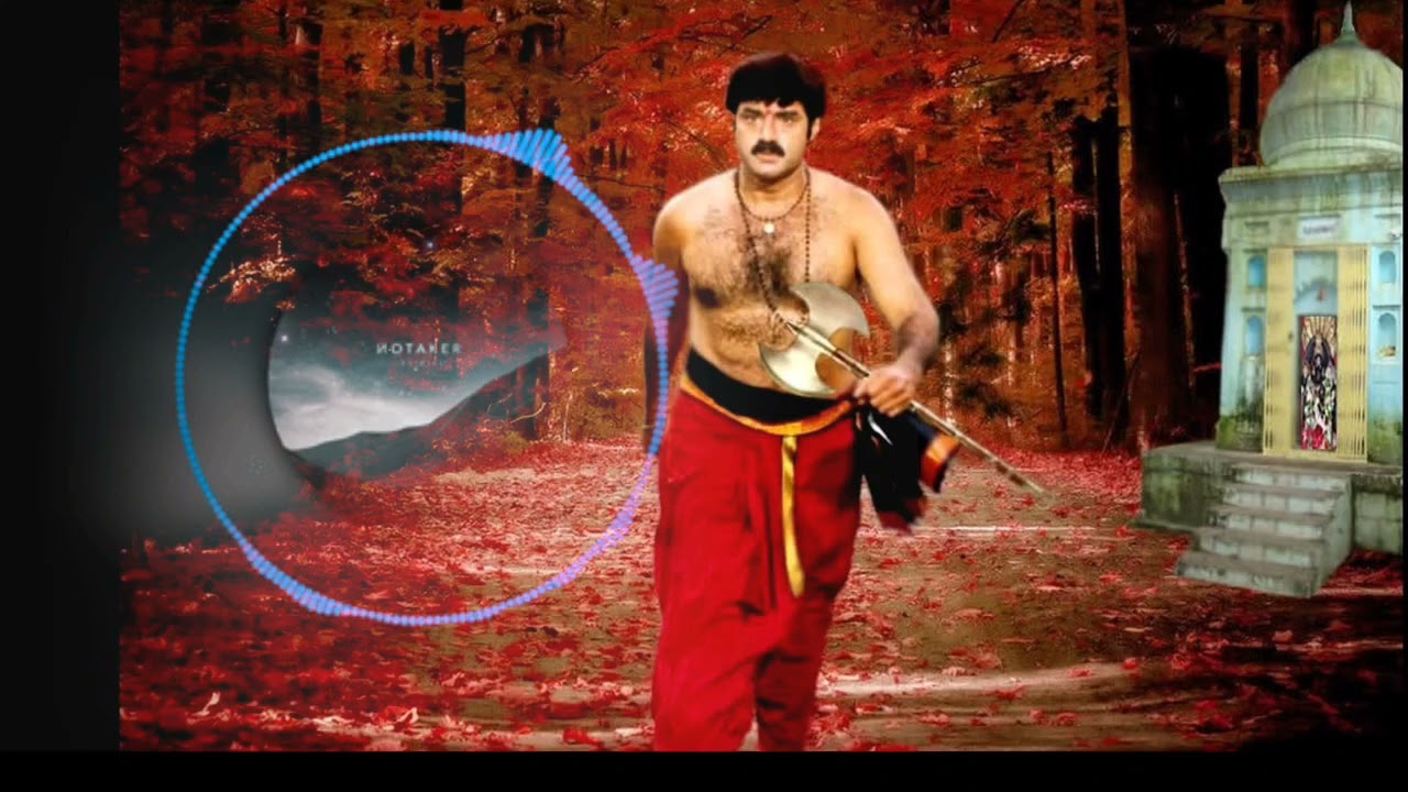 NARASIMHA NAIDU FULL BGM || HAPPY BIRTHDAY BALAIAH GAARU ||