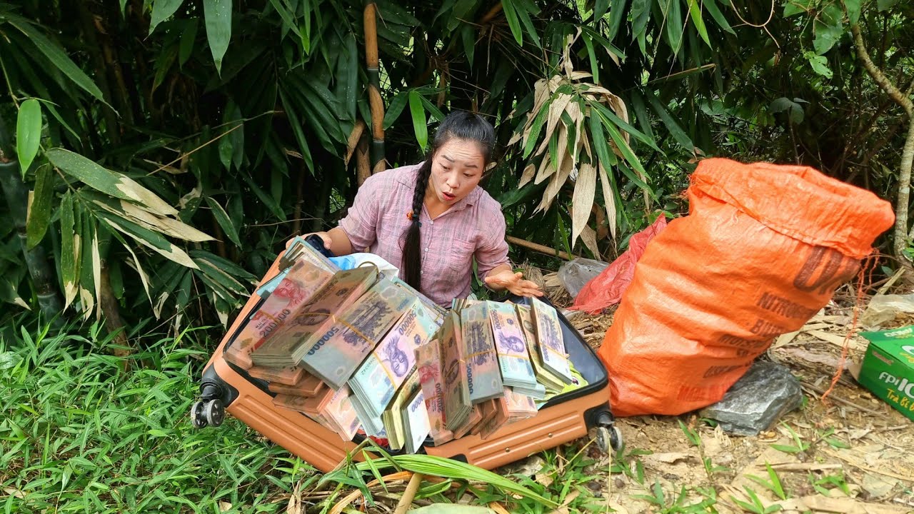 20 million found in suitcase thrown in landfill