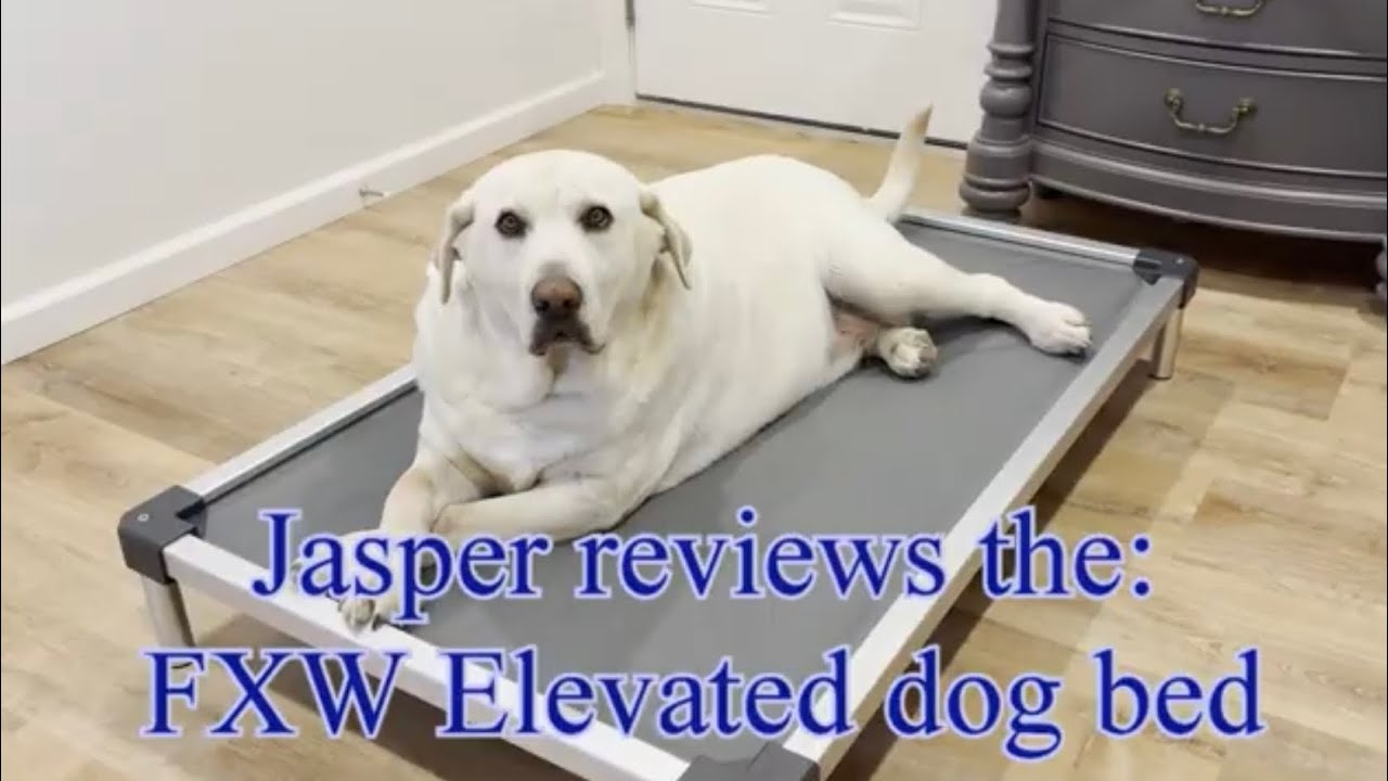 Отзывы о товаре Jasper: Приподнятая лежанка для собак FXW