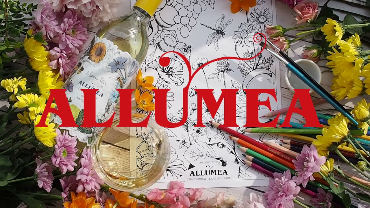Colour by Tasting with Allumea Chardonnay Terre Siciliane Organic Wine by Kulinaari