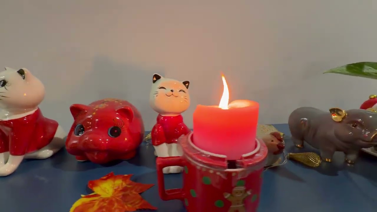 Mùa đông thương nhớ ( cover )