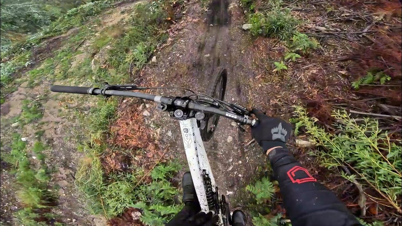 freeride/downhill on DH KAMIKAZES