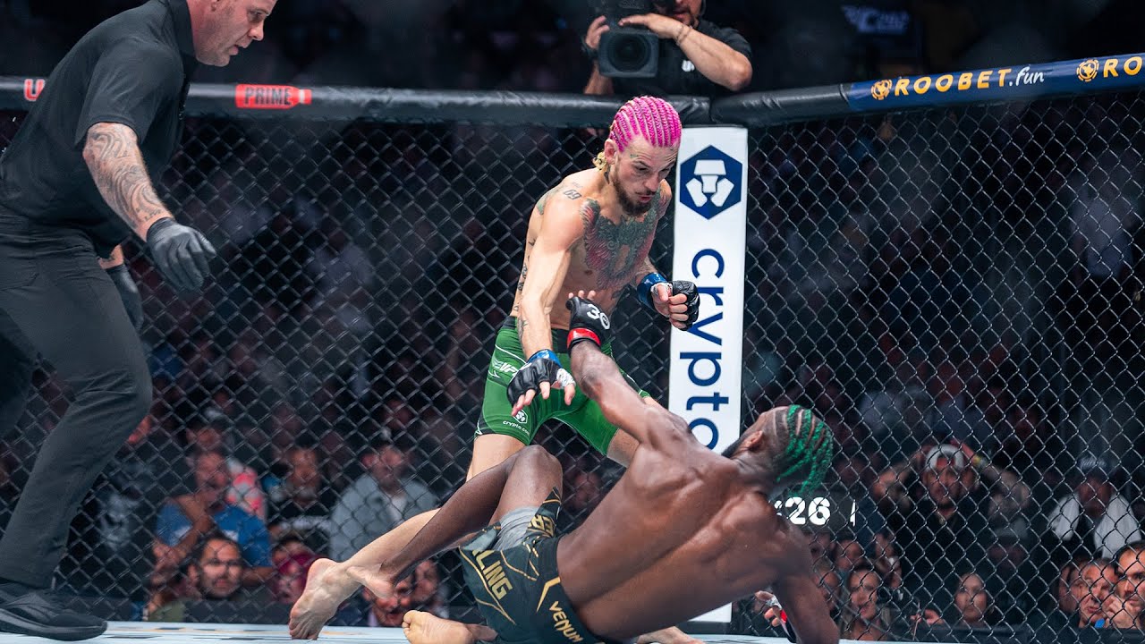 Шон О’Мэлли нокаутировал Алджамейна Стерлинга на турнире UFC 292