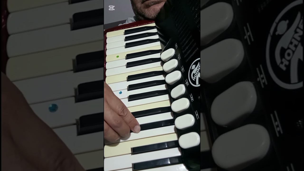 La cueva del 🦊 Chamamé en (La m)  Tutorial Acordeon a Piano.