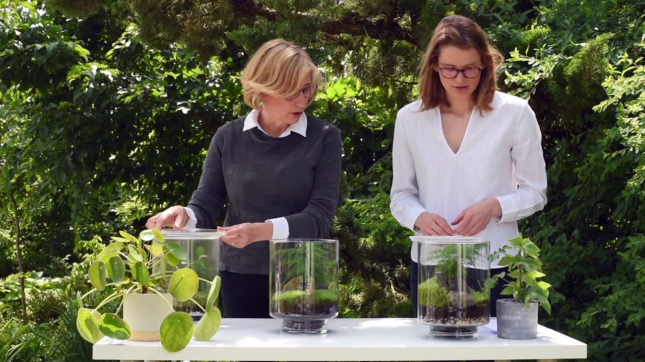 Nettoyer son terrarium YAMAYAMA