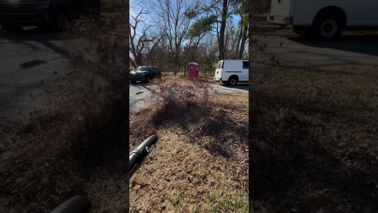 Leaf clean up’s been going good!