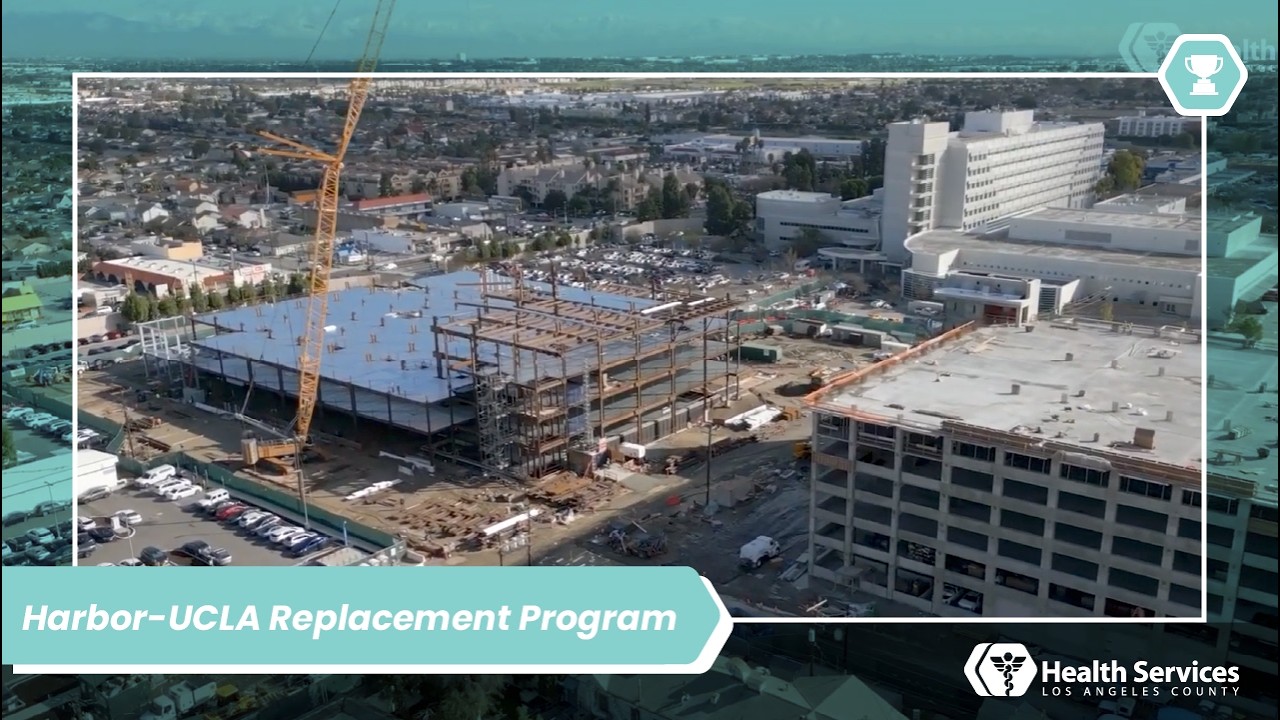 Harbor-UCLA Medical Center Replacement Program