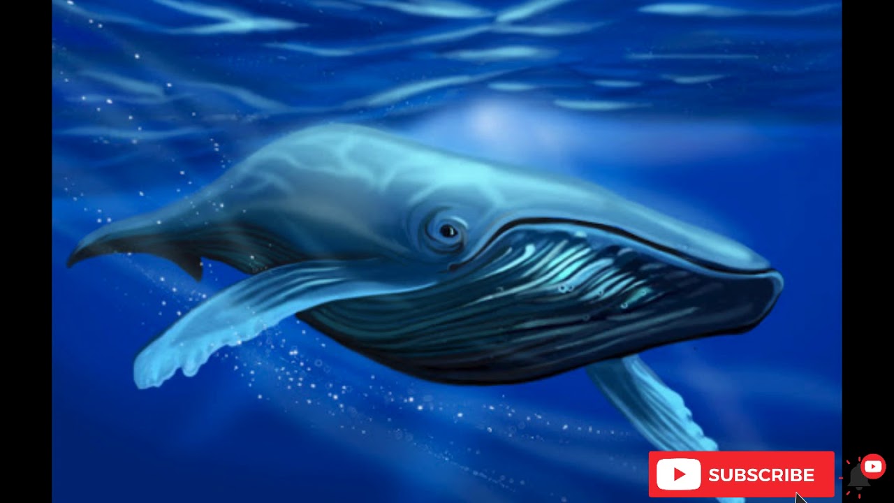 🐳 Mi Amiga la Ballena || Meditaci&oacute;n Guiada para Ni&ntilde;os para Dormir 💤