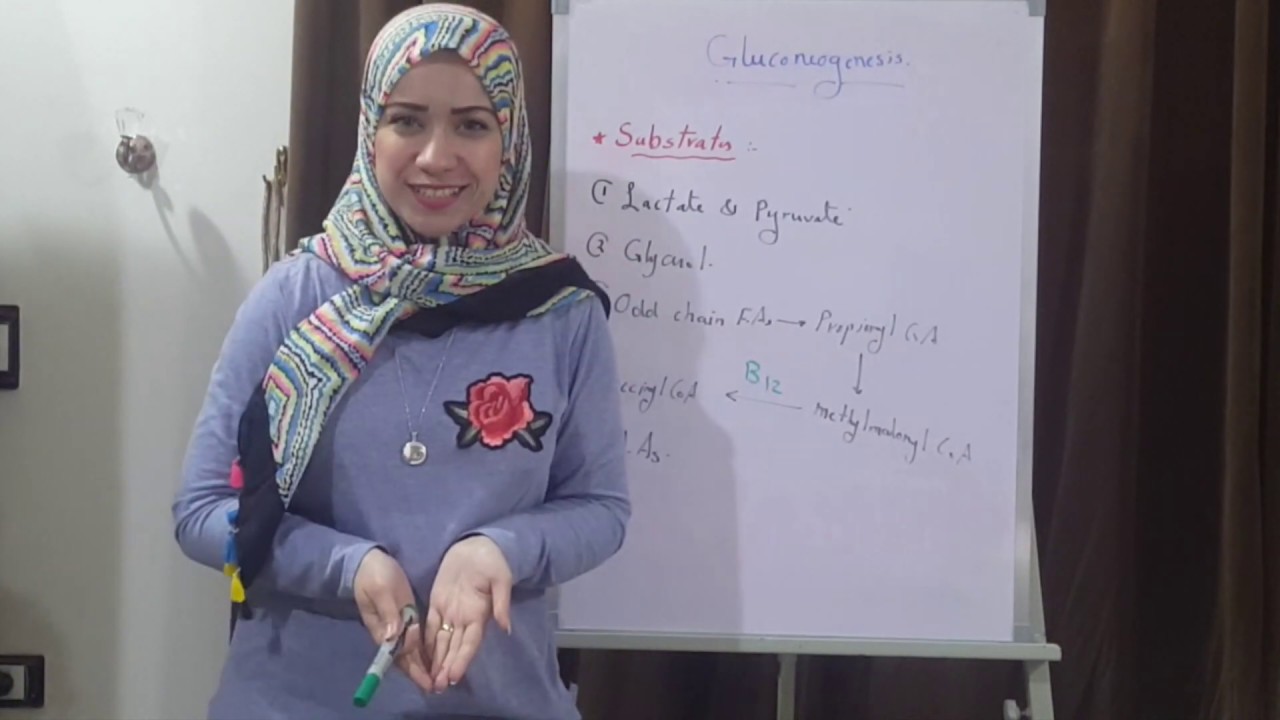 (CHO METABOLISM Biochemistry Session 15)Gluconeogenesis part2